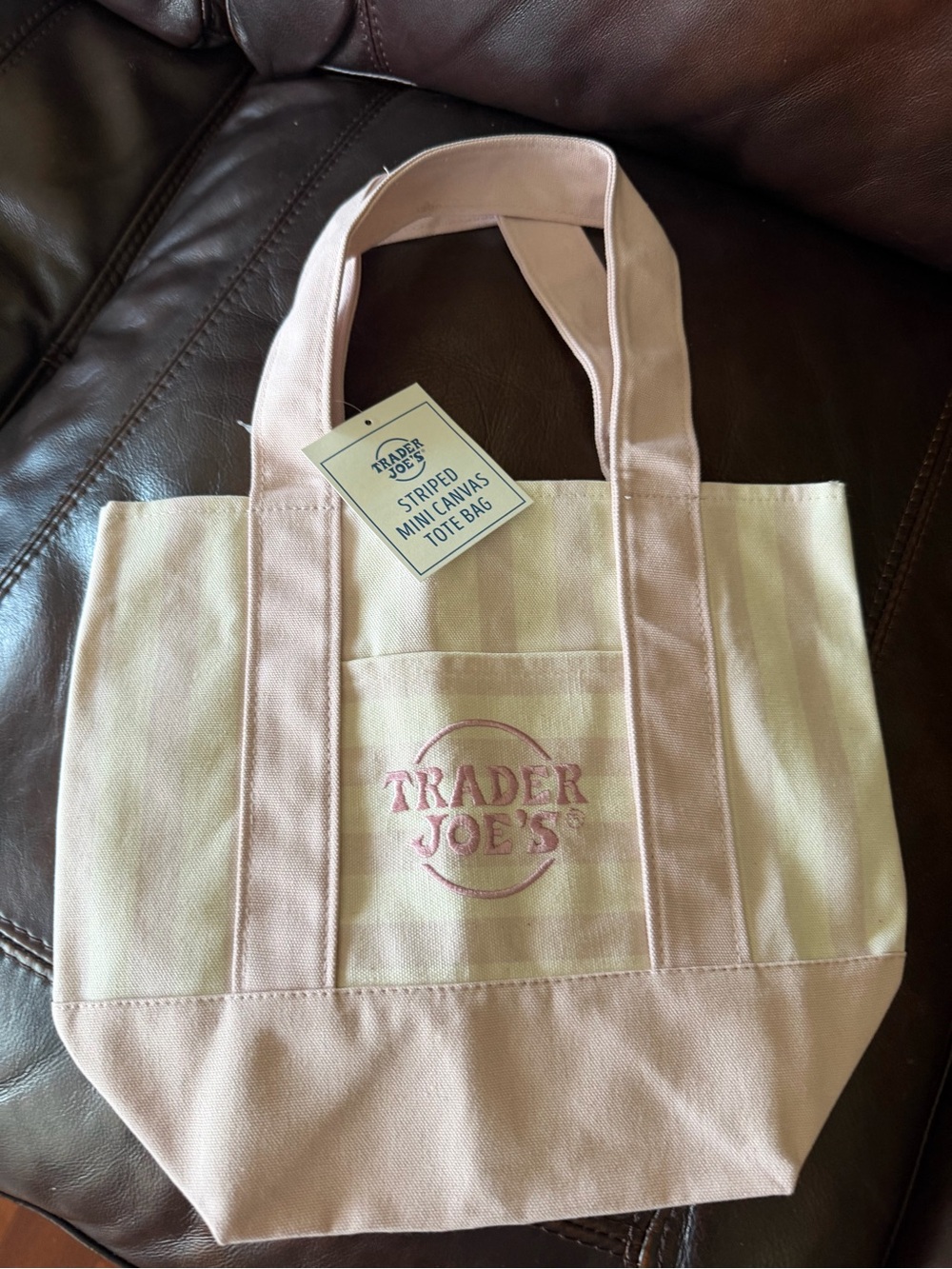 Pink Striped Mini Canvas Tote Bag TRADER JOES